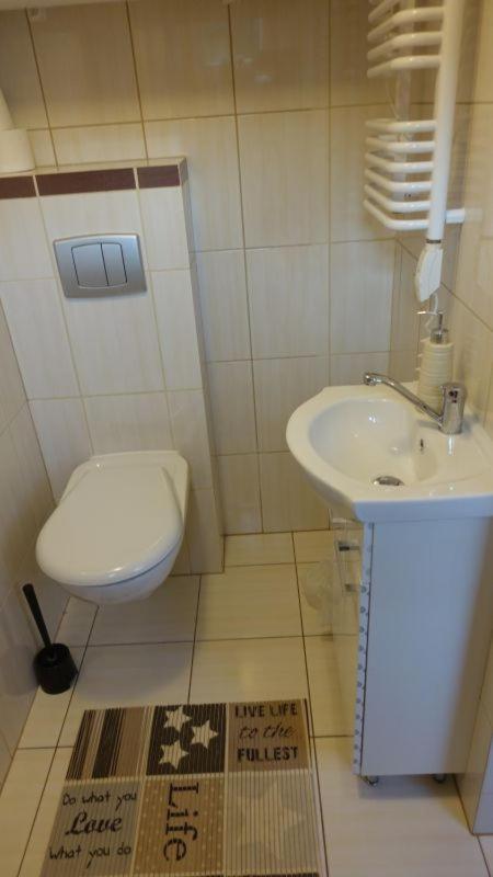 Pokoje Goscinne Lesny Zakatek Kepiaste Extérieur photo