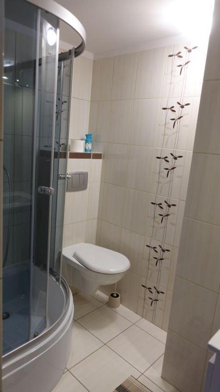 Pokoje Goscinne Lesny Zakatek Kepiaste Extérieur photo