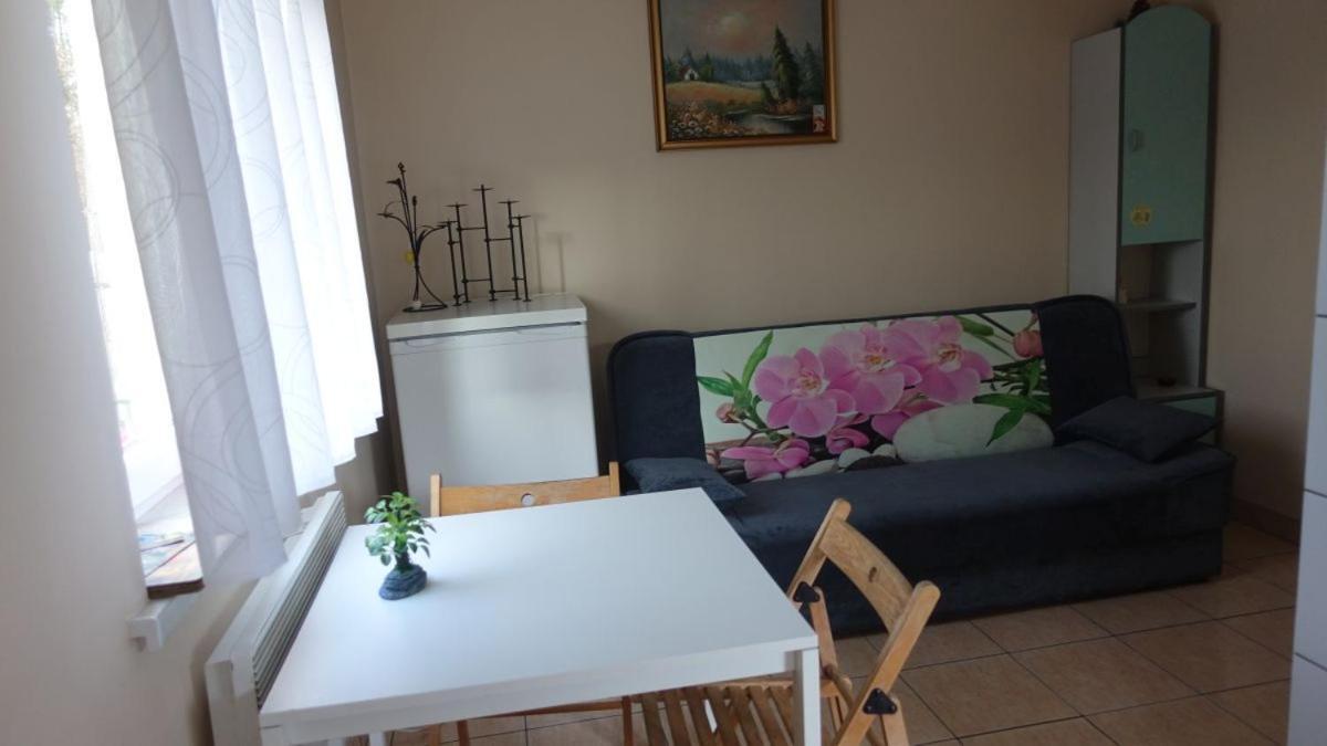 Pokoje Goscinne Lesny Zakatek Kepiaste Extérieur photo
